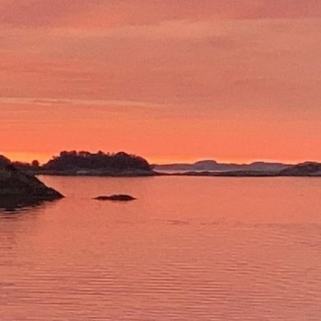 Вилла Eksklusiv Rorbu - Havblikk 1 - Batutleie Bekkjarvik Экстерьер фото